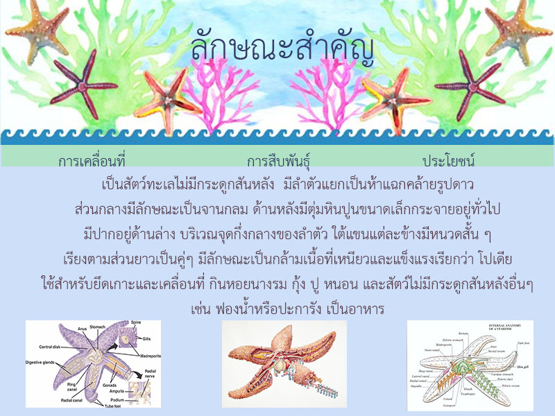 info