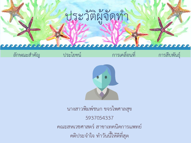 profile