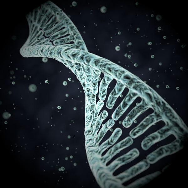 DNA