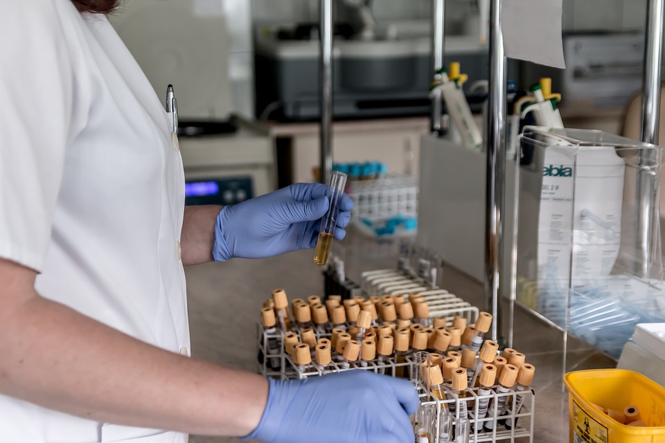 lab