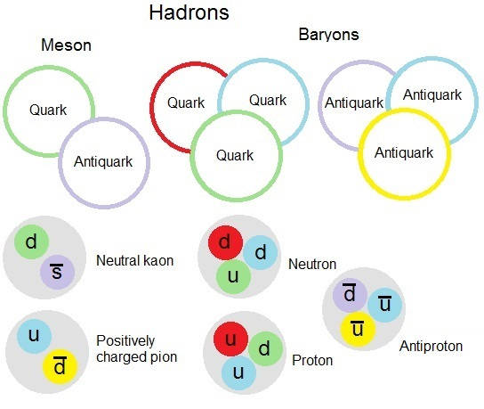 hadroncomponent