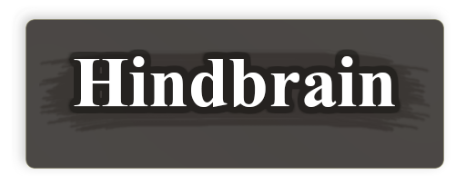 hidebrain